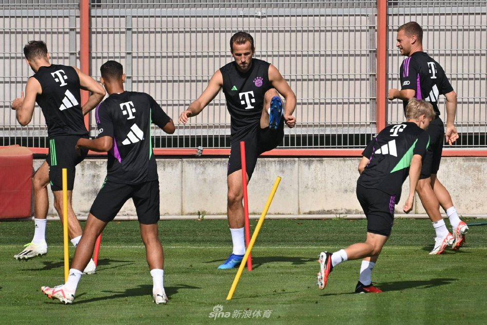 他标志性的 他标志性的